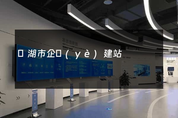 蕪湖市企業(yè)建站
