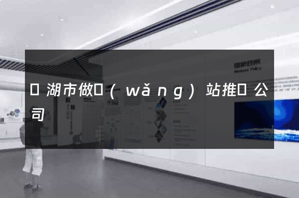 蕪湖市做網(wǎng)站推廣公司
