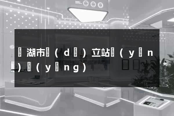 蕪湖市獨(dú)立站運(yùn)營(yíng)