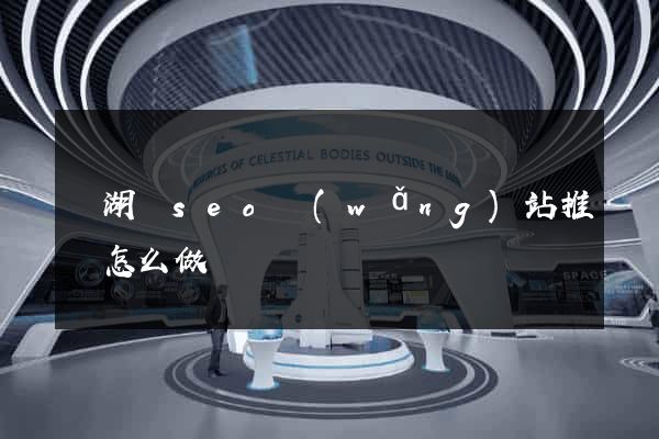 蕪湖縣seo網(wǎng)站推廣怎么做