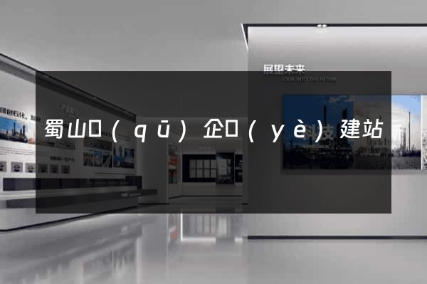 蜀山區(qū)企業(yè)建站