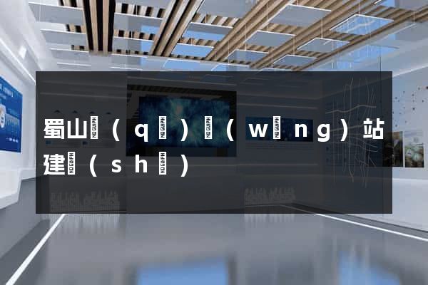 蜀山區(qū)網(wǎng)站建設(shè)