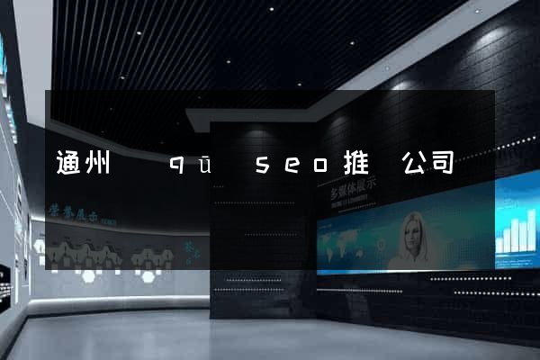 通州區(qū)seo推廣公司