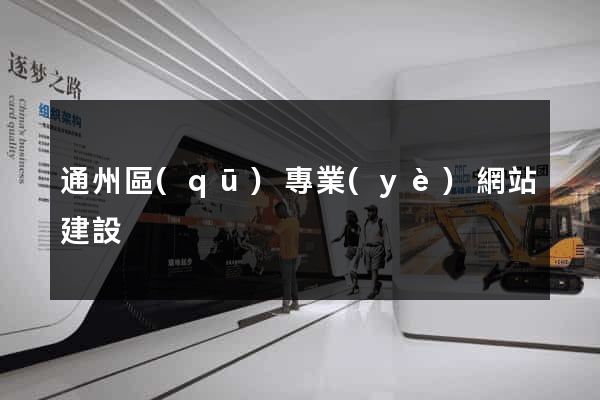 通州區(qū)專業(yè)網站建設