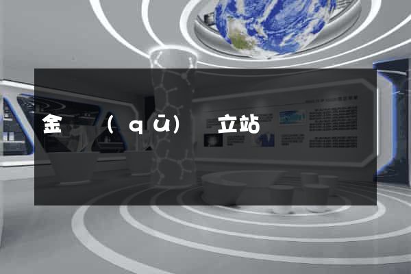 金閶區(qū)獨立站運營