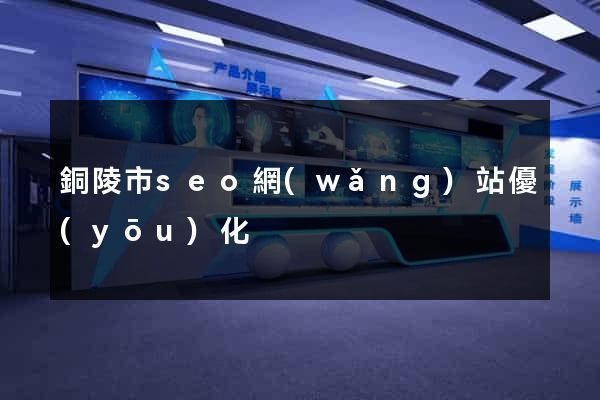 銅陵市seo網(wǎng)站優(yōu)化