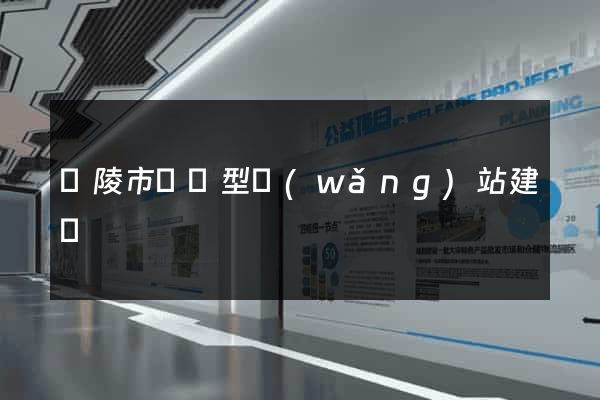 銅陵市營銷型網(wǎng)站建設