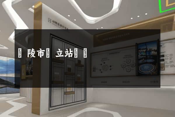 銅陵市獨立站運營