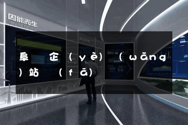 阜寧縣企業(yè)網(wǎng)站開發(fā)