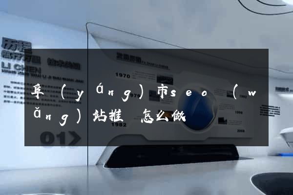 阜陽(yáng)市seo網(wǎng)站推廣怎么做