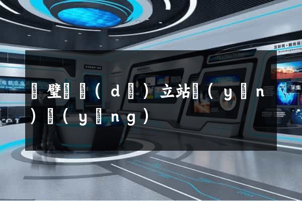 靈璧縣獨(dú)立站運(yùn)營(yíng)