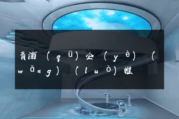 青浦區(qū)企業(yè)網(wǎng)絡(luò)推廣