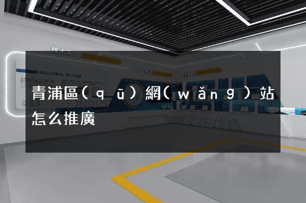 青浦區(qū)網(wǎng)站怎么推廣