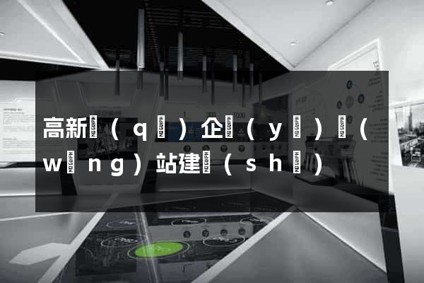 高新區(qū)企業(yè)網(wǎng)站建設(shè)