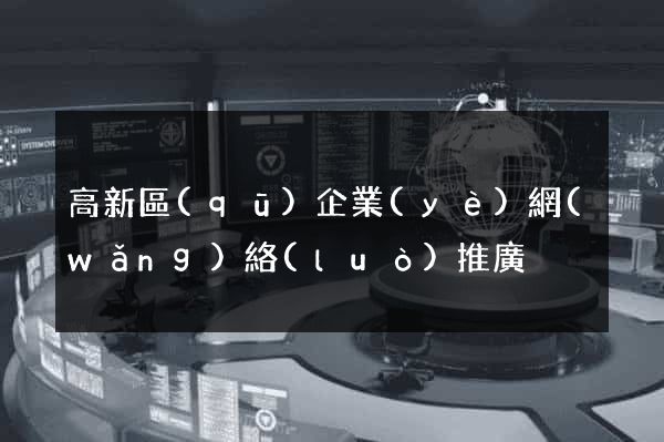 高新區(qū)企業(yè)網(wǎng)絡(luò)推廣