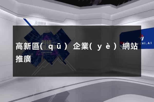高新區(qū)企業(yè)網站推廣