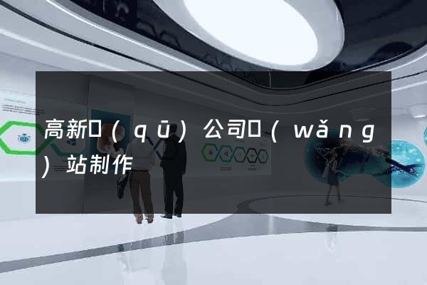 高新區(qū)公司網(wǎng)站制作