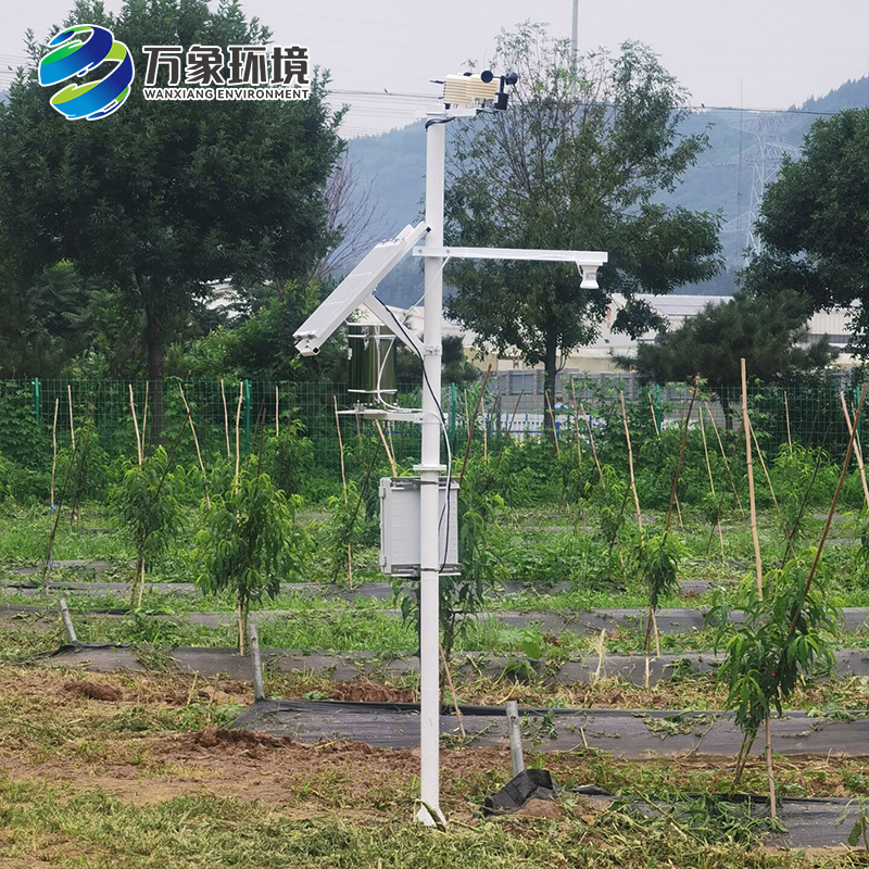 生態(tài)茶園安裝農業(yè)氣象站