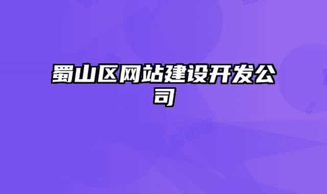 蜀山區(qū)網(wǎng)站建設(shè)開發(fā)公司