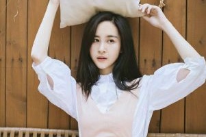 公司網(wǎng)站開發(fā)北京